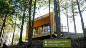 Cabin Zoobox 84